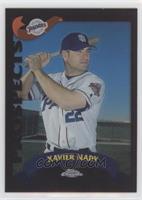 Xavier Nady #/100