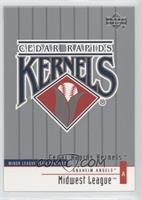 Minor League Team Profiles - Cedar Rapids Kernels Team