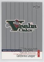 Minor League Team Profiles - Visalia Oaks Team