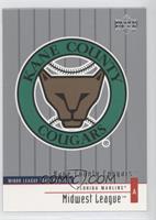 Minor League Team Profiles - Kane County Cougars Team