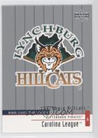 Minor League Team Profiles - Lynchburg Hillcats