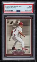 Albert Pujols [PSA 8 NM‑MT]