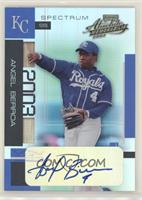 Angel Berroa #/100