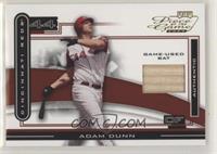 Adam Dunn (Bat)