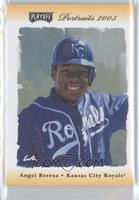 Angel Berroa #/25