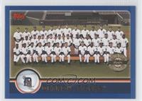 Detroit Tigers Team