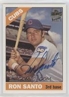 Ron Santo