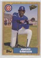 Andre Dawson