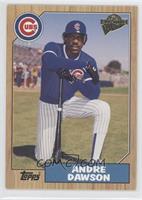 Andre Dawson