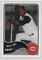 Wily Mo Pena