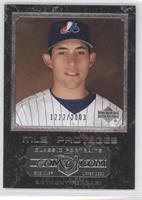 MLB Proteges - Anthony Ferrari #/2,003