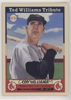 Ted Williams Tribute - Ted Williams