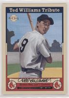 Ted Williams Tribute - Ted Williams