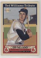 Ted Williams Tribute - Ted Williams