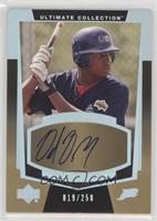 Ultimate Rookie Signatures - Delmon Young #/250