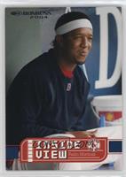 Pedro Martinez #/1,250