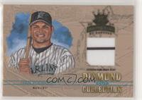 Ivan Rodriguez #/100