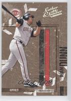 Adam Dunn #/100