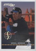 Angel Berroa #/100