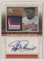 Rafael Palmeiro #/25