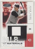 Adam Dunn #/325