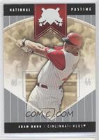 Adam Dunn #/50