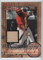 Vladimir Guerrero #/250