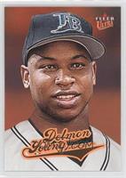 Delmon Young