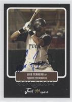 Luis Terrero #/25