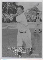 Yogi Berra #/46