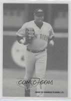 Tony Gwynn #/66