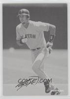 Nomar Garciaparra [EX to NM] #/63