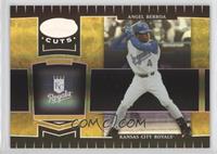 Angel Berroa #/25