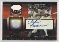 Andre Dawson #/100