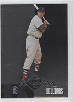 Ted Williams #/499