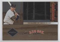 Ted Williams #/521
