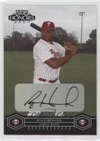 Ryan Howard #/100