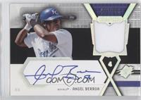 Angel Berroa #/999