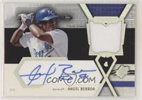 Angel Berroa #/999