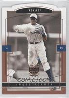 Angel Berroa #/25