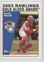 Rawlings Gold Glove Award - Bengie Molina