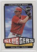 3-D Sluggers - Adam Dunn