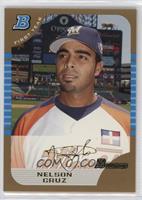 Nelson Cruz