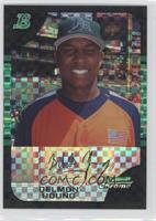 Delmon Young #/250