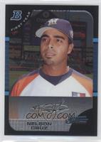 Nelson Cruz