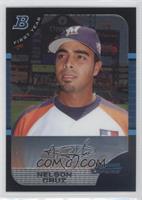 Nelson Cruz