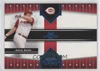 Adam Dunn #/100