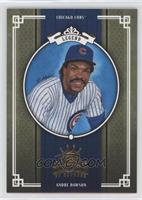 Andre Dawson