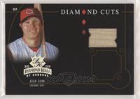 Adam Dunn #/100