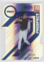 Prospects - Miguel Negron #/81